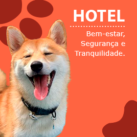 Hotel para cães